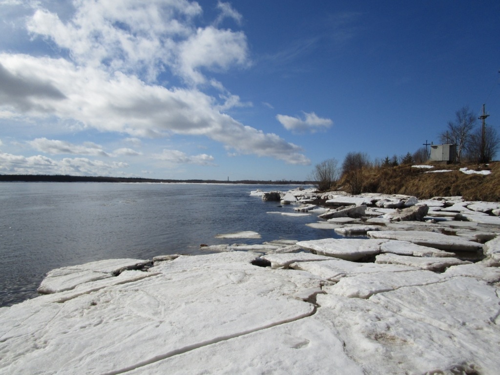 Онега 400. Река Онега Североонежск. Онега Поньга переправа. Ледоход 2020 Онега. Река Онега Каргополь.