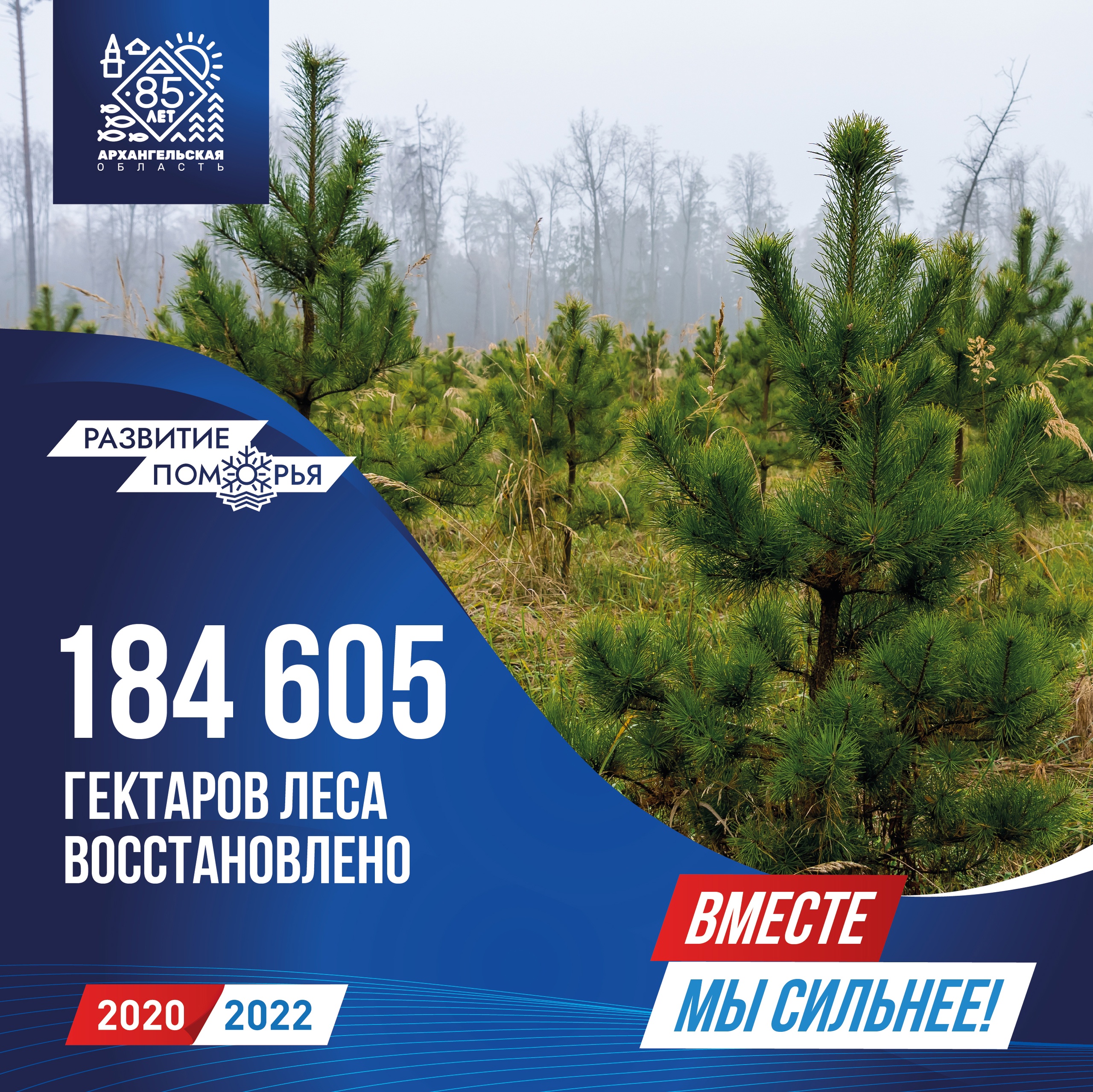 Программа развития региона «Вместе мы сильнее!» | 22.09.2022 | Онега -  БезФормата